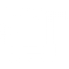 Profesionales RT